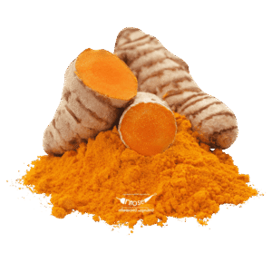 turmeric nadan 100